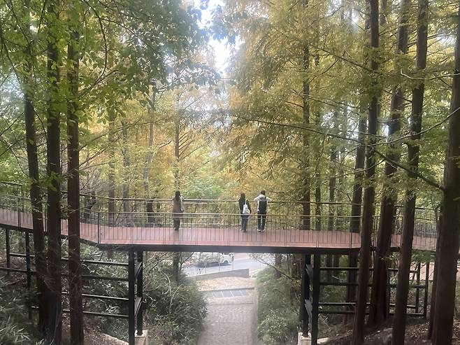 모험전망다리(출렁다리)에서 바라본 바람전망다리. 박병국 기자