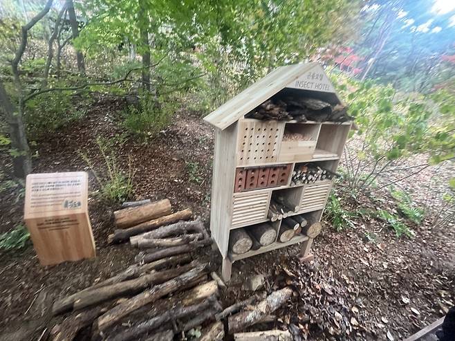 곤충호텔. 박병국 기자.