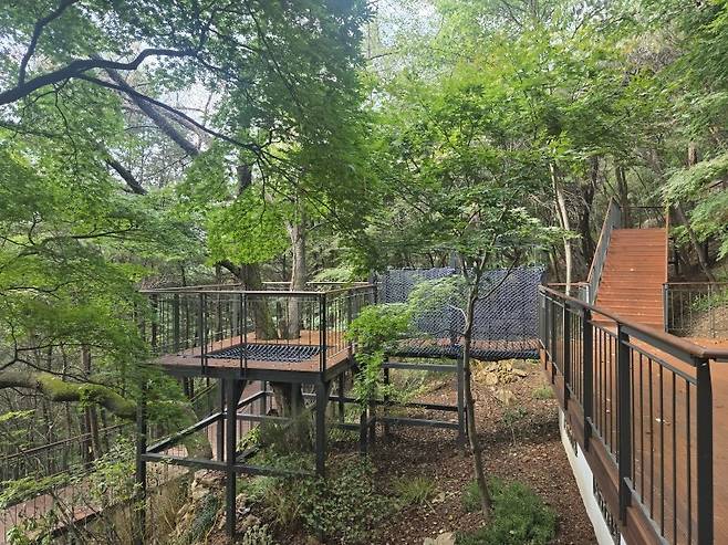 남산하늘숲길의 모험놀이데크 [서울시 제공. 재판매 및 DB 금지]