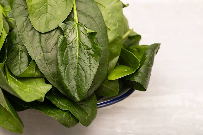 시금치는 비타민B2, B9, 비타민C, 철분, 칼륨, 마그네슘, 칼슘 등이 풍부한 음식이다. 사진=게티이미지뱅크