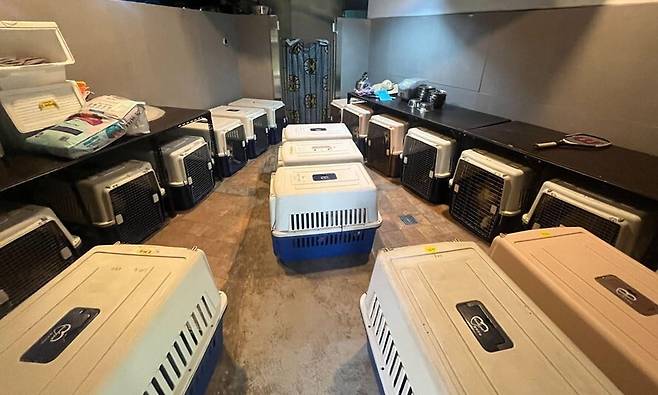 개들을 이동장에 장시간 보호한 것과 관련해, 동물보호단체가 “해외 입양을 위한 사회화 교육을 위해 활용했다”는 입장을 밝혔다. 카라 노조 제공