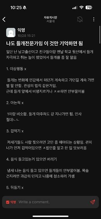 A post on Everytime, a popular online community for university students, shares purported expert tips on what to do when encountering feral dogs. (Everytime)