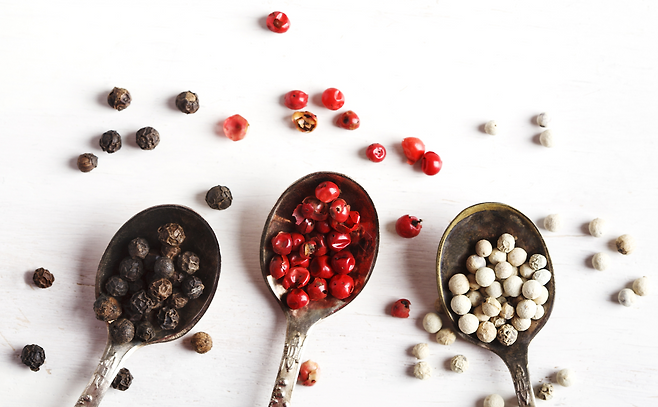 다양한 종류의 후추 [게티이미지뱅크]