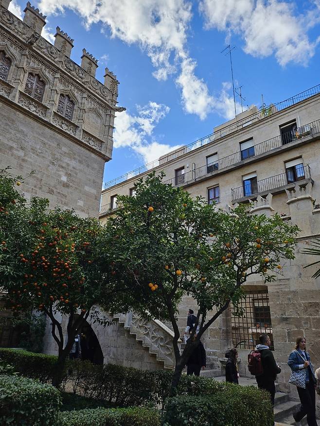 실크 거래소 안에 있는 파티오 데 로스 나란호스(오렌지 나무 안뜰). 필자 제공