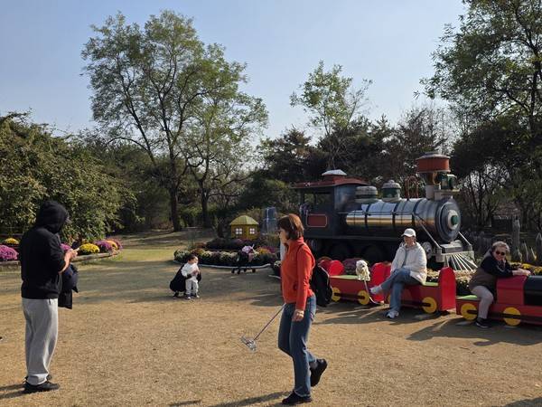 4일&nbsp;수도권매립지 드림파크 야생화단지에서 열린&nbsp;'2025 드림파크 국화축제'를 찾은 시민들의 모습. [사진 = 박지현 기자]