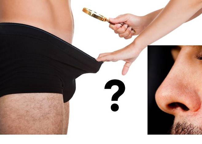 손이나 발보다 코의 길이가 성기 길이와 더 밀접한 관련이 있을 수 있다는 흥미로운 결과가 나왔다. 사진=게티이미지뱅크 편집