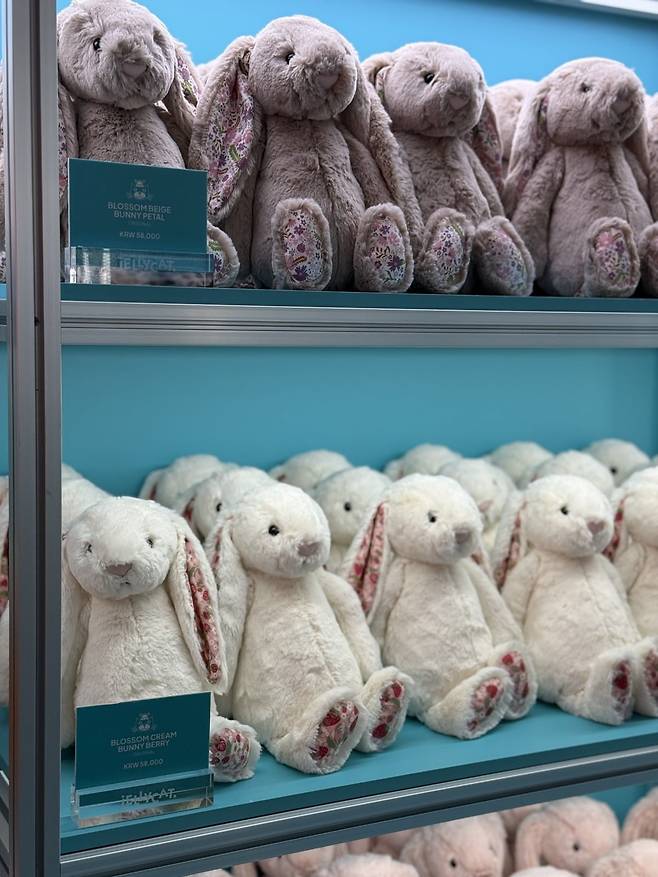 사진=최수진 기자