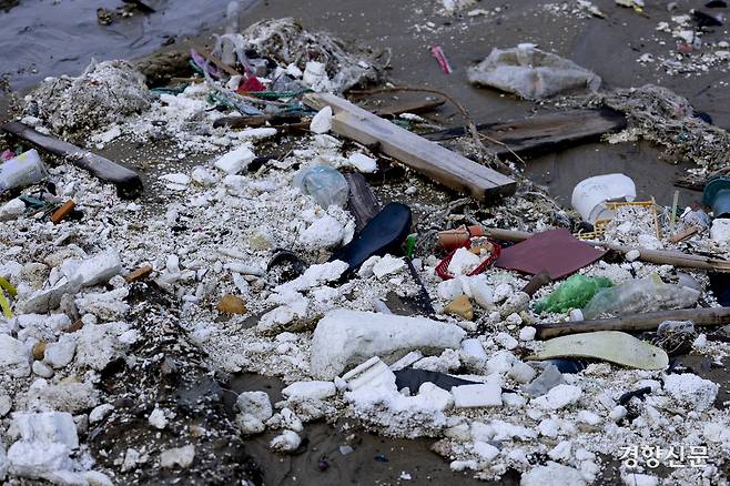 해안가 바로 옆 갯벌로 나가자 악취가 진동했다.  신안 l 문재원 기자