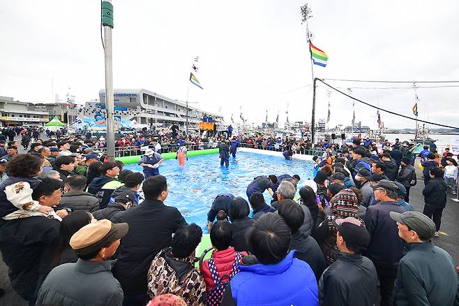 지난해 열린 행사에서 맨손 활어잡기대회 모습[울진군 제공]