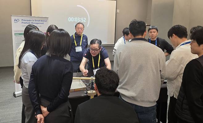 AO VET 코스 강사로 참여한 최갑철 로얄동물메디컬센터W 원장과 정인성 로얄동물메디컬센터 원장이 수강생들을 교육하고 있다(AO VET 제공). ⓒ 뉴스1