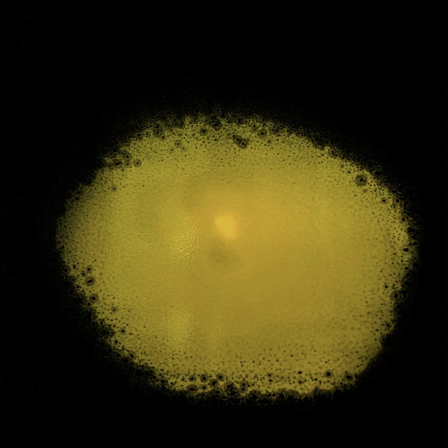 ▲ 김병철 작 ‘Inner Bloom-피어나다’