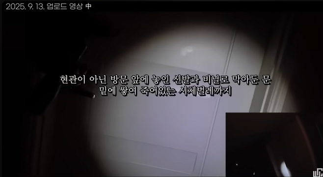 [사진 = 유튜브 채널 ‘도사우치’ 갈무리]