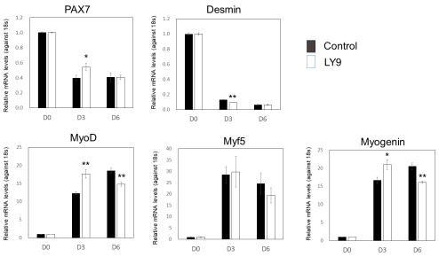 근육세포 분화 후 근육 발달 관련 유전자 발현 조사. 농촌진흥청