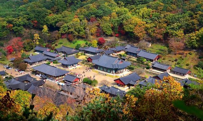 순천 송광사 전경. 전남도 제공