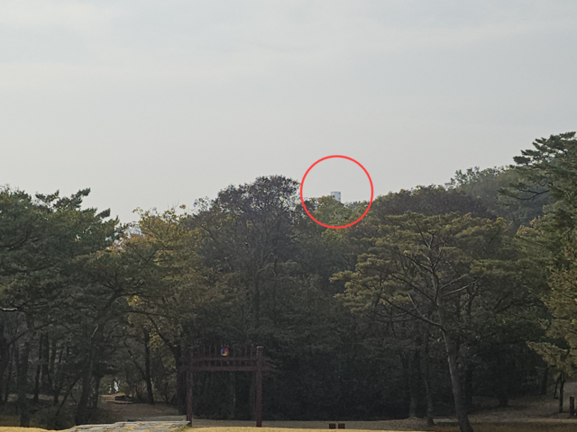 김포 장릉에서 6일 바라본 검단신도시 방향. 나무들 사이로 아파트가 살짝 보인다. [사진=안다솜 기자]