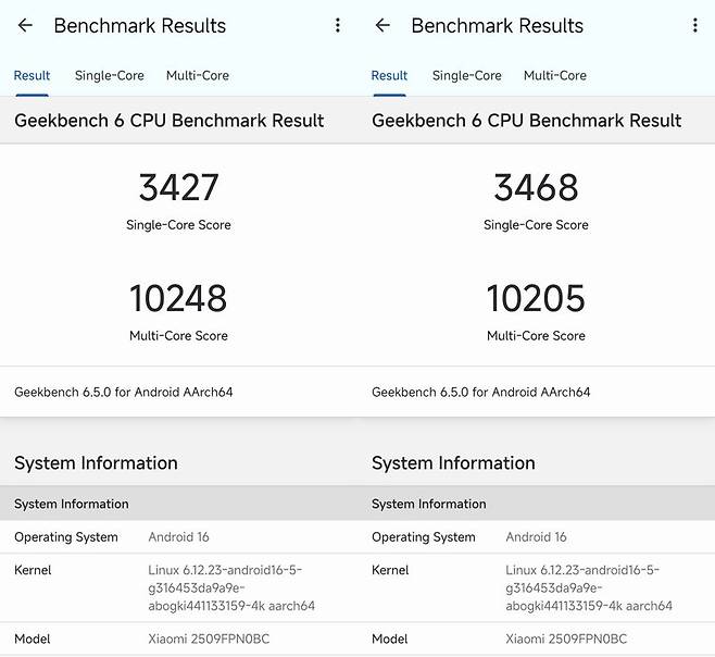 긱벤치6에서 샤오미 17 프로 맥스의 CPU 성능을 측정한 결과. 사진=구자윤 기자
