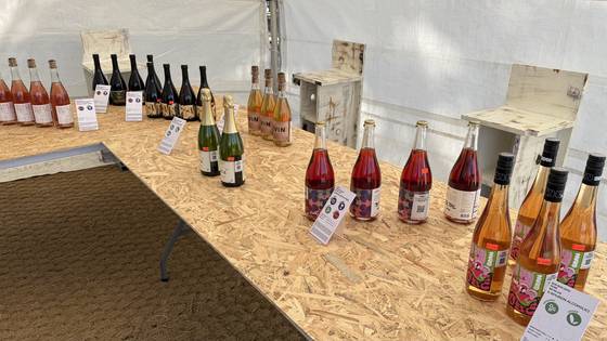 No- and low-alcohol beverages are showcased at Artist Bottle Club’s booth during Wanderlust 108 event on Nov. 1. [WOO JI-WON]