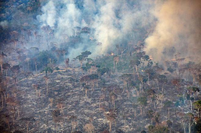 아마존의 산림 파괴 및 산불 모니터링 이미지.[그린피스 제공]