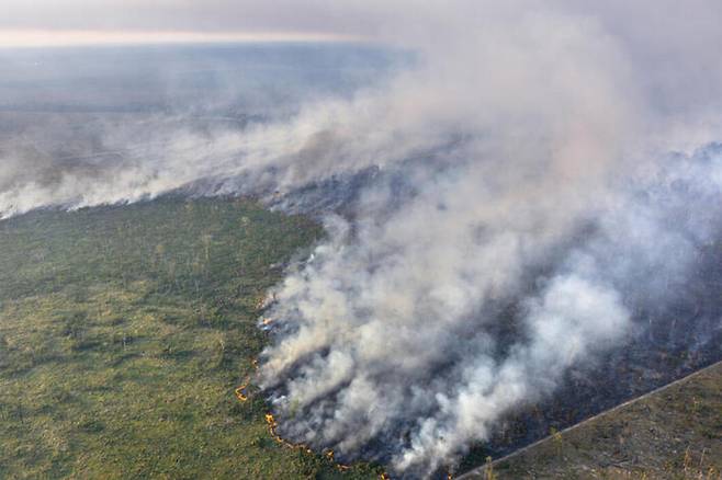 아마존의 산림 파괴 및 산불 모니터링 이미지.[그린피스 제공]