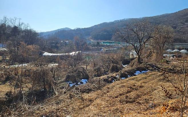 [서울=뉴시스] 정진형 기자 = 개발제한구역(그린벨트) 해제 대상 지역으로 발표된 서울 서초구 서리풀지구 신원동 전경. 2024.12.18. formation@newsis.com  *재판매 및 DB 금지