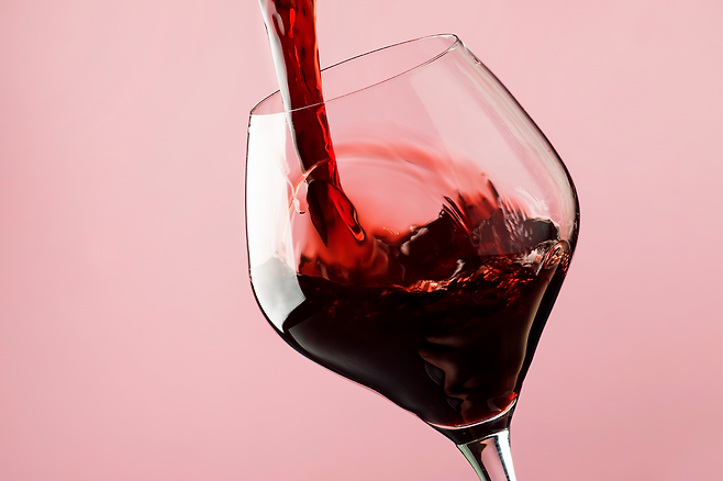 레드와인