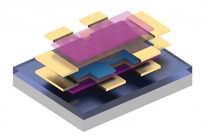 두 '마법 각도 삼중층 그래핀(MATTG)' 층(노란색) 사이에서 전자를 양자 터널링 시키며 초전도 상태를 측정하는 시스템. 보라색은 흑연, 파란색은 그래핀과 비슷한 구조의 2차원 물질인 육방정계 질화붕소(h-BN)를 나타낸다. Pablo Jarillo-Herrero/Science 제공