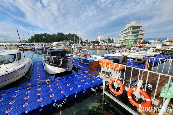 강릉 안목 죽도봉에서 바다를 향해 길이 108m, 높이 30m 규모의 스카이밸리(스카이워크 설치) 조성사업이 2026년 준공을 목표로 11월중 착공에 들어간다. 강릉 항과 안목 죽도봉. 전인수