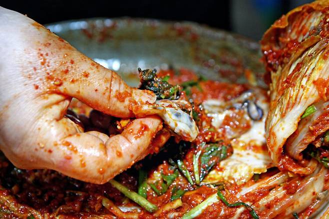 배추와 굴은 영양소가 풍부해 건강에 좋은 11월 제철 식품으로 꼽힌다. 사진=클립아트코리아