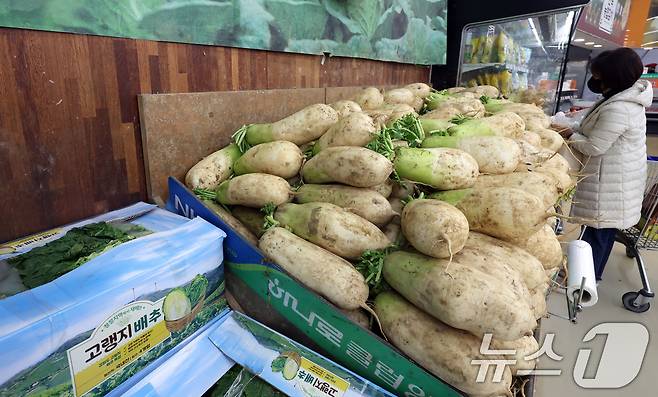 사진은 이날 서울 양재동 하나로마트 배추·무 코너 모습. 2025.10.29/뉴스1 ⓒ News1 김명섭 기자