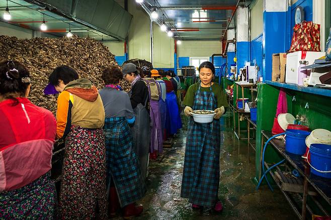 조유미 기자가 이날 깐 굴이 담긴 바가지를 들고 무게를 재러 가고 있다. /이건송 영상미디어 기자