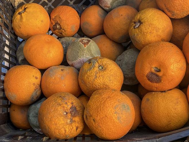 사진=게티이미지뱅크.