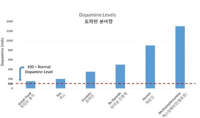뇌가 보내는 SOS, 도파민 중독의 함정에서 벗어나기