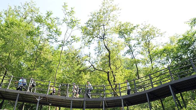 Ansan Jarak-gil in Seodaemun-gu, western Seoul (Seoul Metropolitan Government)