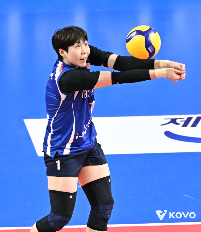 사진=KOVO
