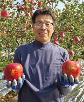 경북 문경시 마성면 사과농장 송제농원의 박인수 대표가 코리아(KOREA)라는 영어와 첨성대 문양이 새겨진 문자사과를 들어 보이고 있다.