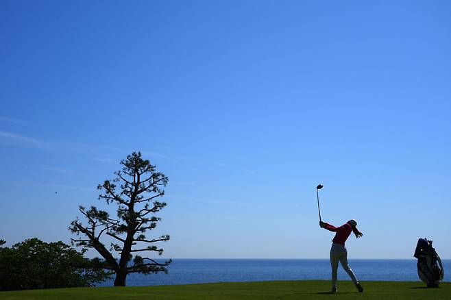 사진과 내용은 관련 없음. 게티이미지코리아