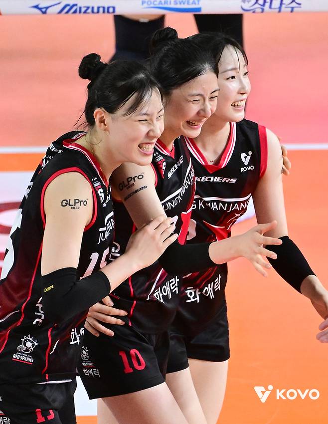 제공 | 한국배구연맹