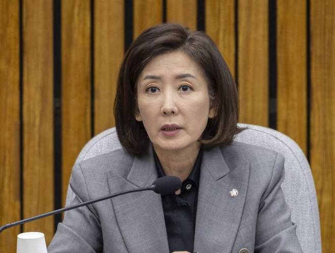 나경원 국민의힘 의원이 "입법과 행정을 장악한 민주당이 내란몰이를 통해 군과 검찰, 법원 등 국가의 근간을 무너뜨리고 있다"며 분개했다. 연합뉴스