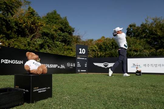 테디밸리 골프앤리조트. /KPGA