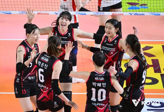 정관장 배구단./KOVO