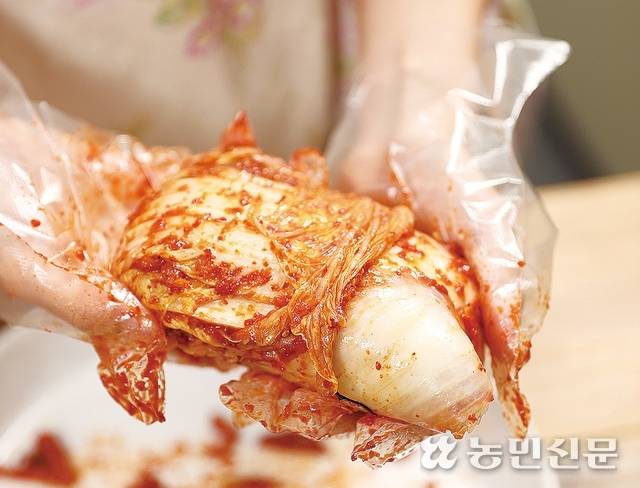 배추를 접어 겉잎으로 감싼다.