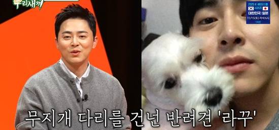 SBS '미운 우리 새끼'