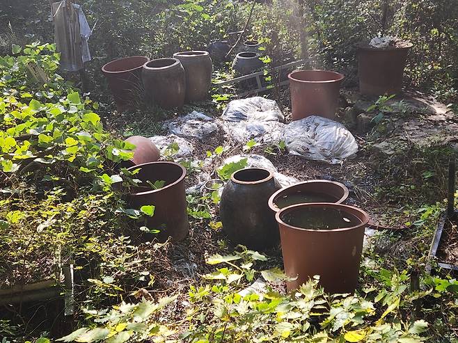 방치된 쓰레기 [차근호 기자]