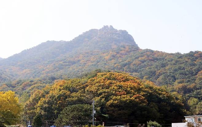 단풍 물든 금정산 [차근호 기자]