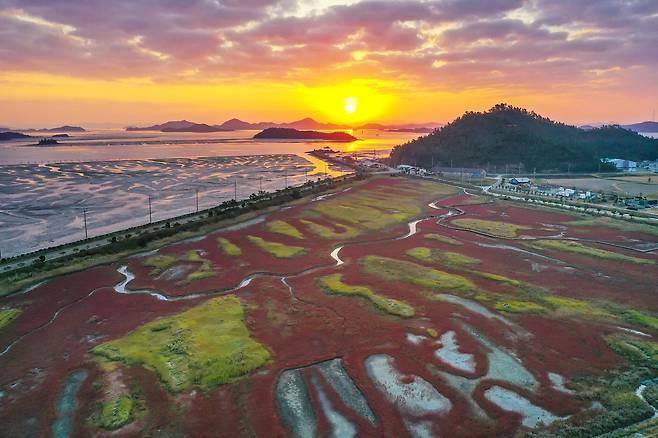 가을 해질녘 태평염전 염생식물원