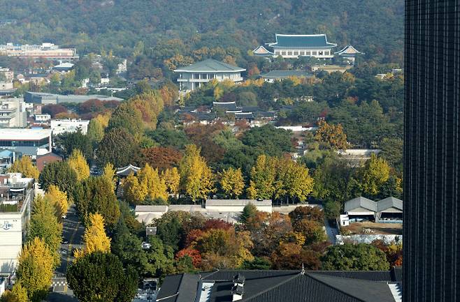 7일 정부서울청사에서 바라본 종로구 경복궁과 청와대 주변이 가을 단풍으로 물들어 있다.(사진=연합뉴스)