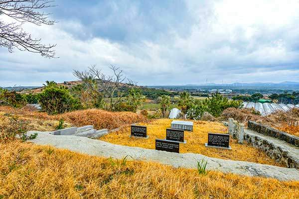 가족묘. 최근의 제주 장례 풍습을 보여 주는 풍광이다.