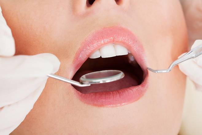 클립아트코리아