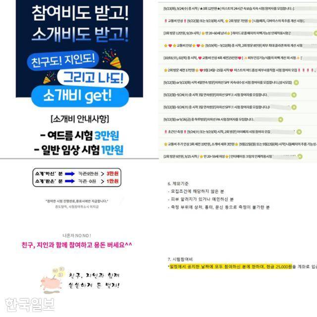 화장품 인체적용시험 참여자를 모집하기 위해 금전적인 측면을 부각시킨 광고들. 다른 참여자를 데려오면 소개비를 별도로 입금해주겠다며 '친구와 용돈 벌라'고 홍보하고 있다. 신은별 기자·황은서 인턴기자