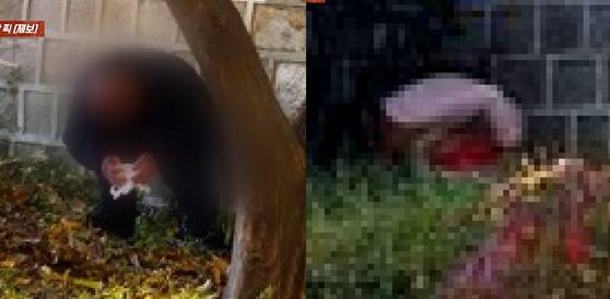 사진 JTBC '사건반장' 캡처